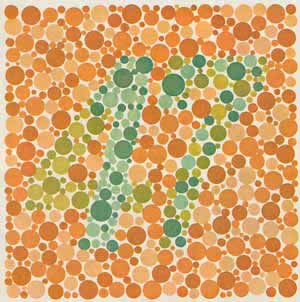 Rot-Test